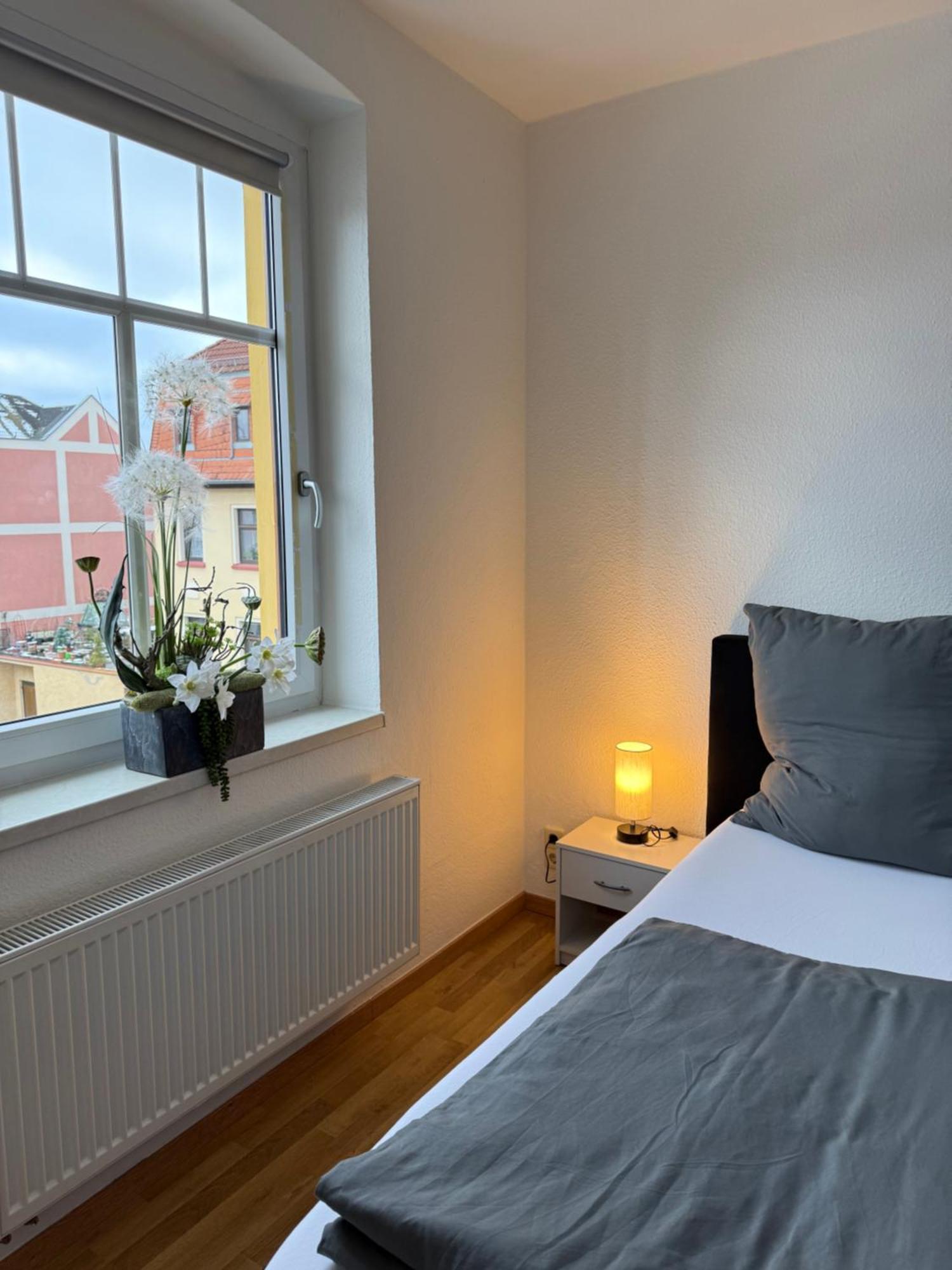 Goeltzschtal Apartment Mylau Zewnętrze zdjęcie